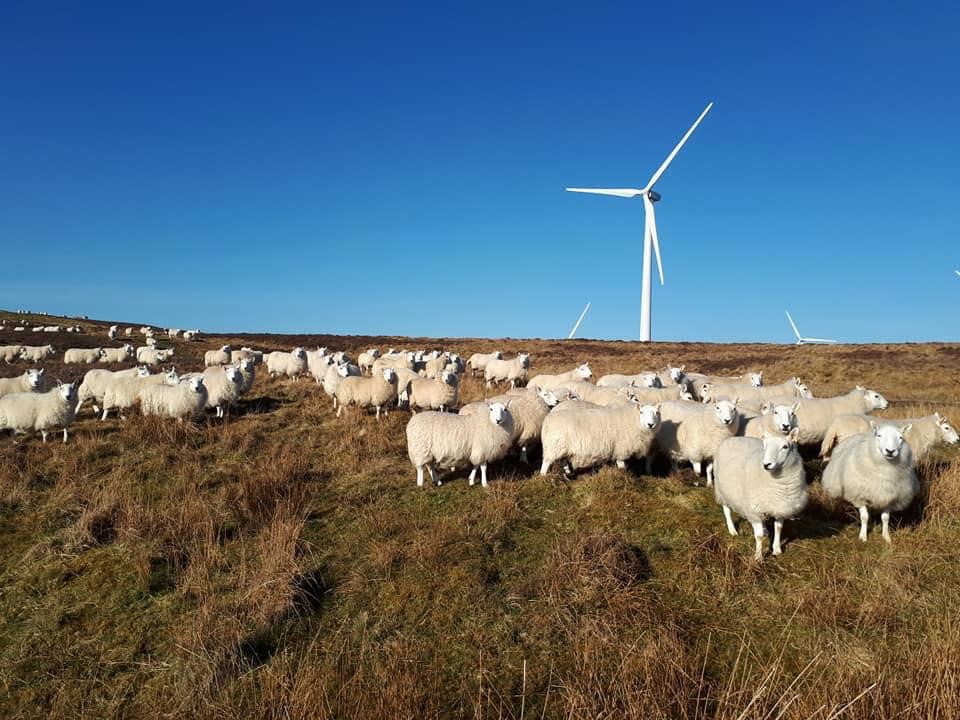 Langhope Farm, Selkirk, Scottish Borders, TD7 4PQ